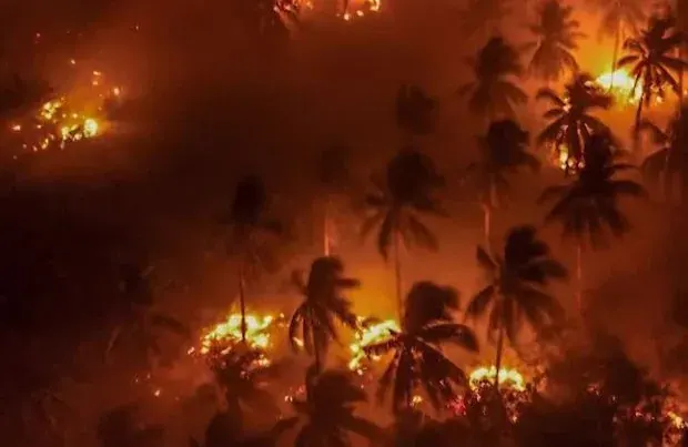 KLH menyegel 57 entitas perusahaan terkait karhutla dengan total area terbakar sekitar 34.636 hektare yang tersebar di delapan provinsi
