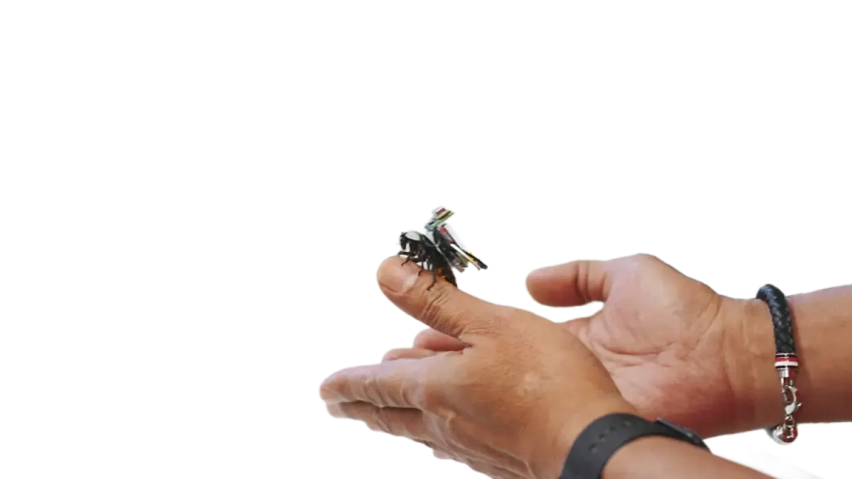 Cyroach, Robot Kecoak Undip Pencari Korban Bencana