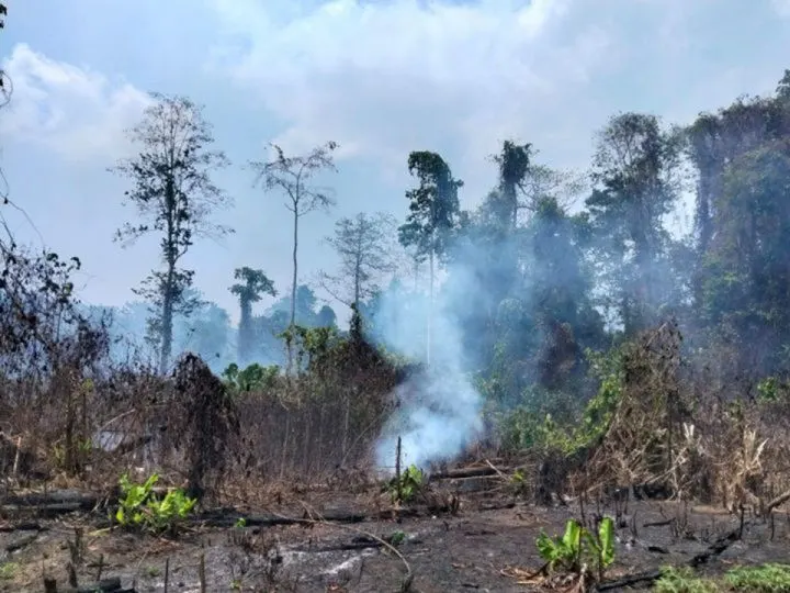 Kebakaran hutan dan lahan (karhutla) yang terjadi di Desa Pampalu, Kecamatan Beo Selatan, Kabupaten Kepulauan Talaud.
