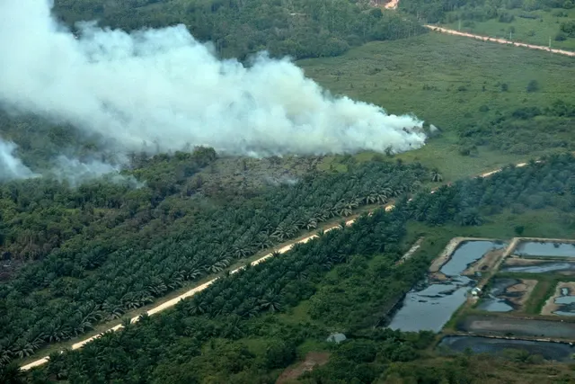 penanganan kebakaran hutan dan lahan (karhutla) dengan menyiapkan tambahan alat berat dan pembangunan sekitar 30 sumur bor untuk mempercepat pemadaman api di wilayah terdampak.