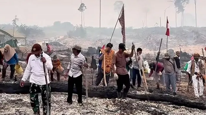 Bupati Lamandau Rizky Aditya Putra turut serta dalam kegiatan menugal padi gogo di lahan eks kebakaran.