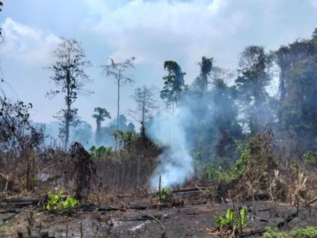 24 Titik Panas Terdeteksi di Kalbar, Penanganan Karhutla Terus Diperkuat