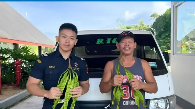 Jagoi Babang Didorong Jadi Pusat Ekspor Kalbar, Petai Tembus 306,8 Ton ke Malaysia