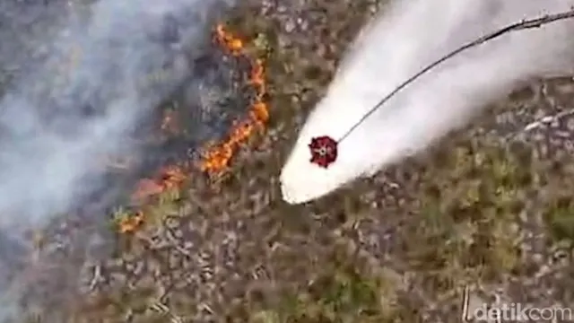 Operasi Pemadaman Karhutla Taman Nasional Tanjung Puting Ditingkatkan Melalui Pengeboman Air