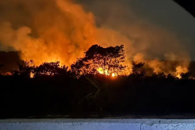 DLHK Kalbar Hitung Kerusakan Hutan Akibat Karhutla, Denda Menunggu Hasil Kajian