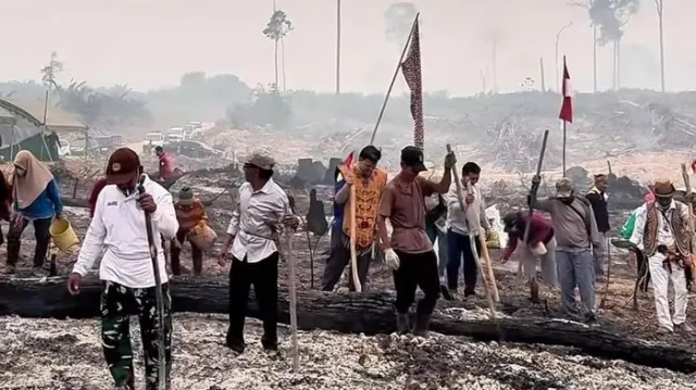 Perkuat Ketahanan Pangan, Warga Lamandau Manfaatkan Lahan Bekas Karhutla untuk Menanam Padi Gogo